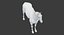 Horse Middle Poly (Normal Map Only)