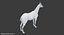 Horse Middle Poly (Normal Map Only)