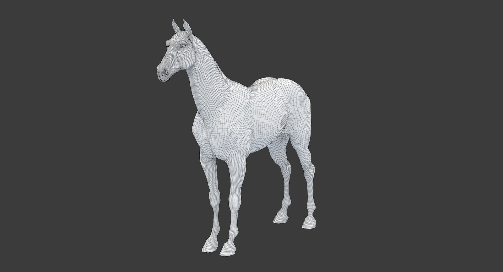 horse middle normal 3D model https://p.turbosquid.com/ts-thumb/Ch/R1KGIc/MIloORY3/horsemp_edges_02/jpg/1545277691/1920x1080/fit_q87/49d1430ed0ae04c29eeb3681e35e7b19cfa12ab9/horsemp_edges_02.jpg