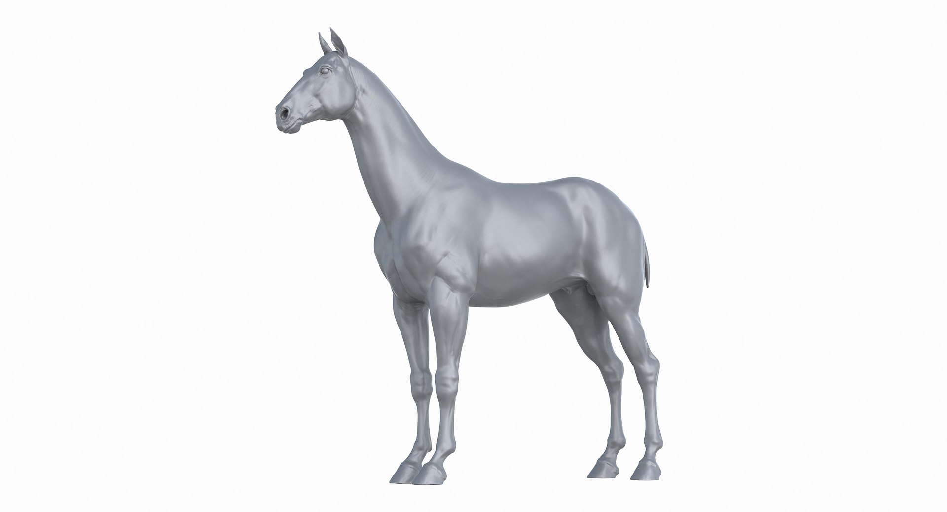horse middle normal 3D model https://p.turbosquid.com/ts-thumb/Ch/R1KGIc/MWmTjwS0/horsemp_24/jpg/1545277690/1920x1080/fit_q87/fa2f1d712243d34abbbb3d13958979c5a7ebac82/horsemp_24.jpg