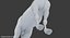Horse Middle Poly (Normal Map Only)