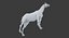 Horse Middle Poly (Normal Map Only)