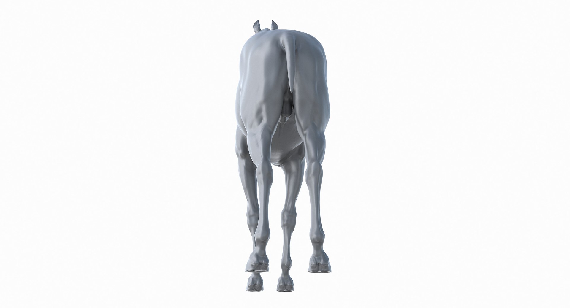 horse middle normal 3D model https://p.turbosquid.com/ts-thumb/Ch/R1KGIc/R2P4tinB/horsemp_29/jpg/1545277690/1920x1080/fit_q87/2a8a5dfecf8c7e0c746b27fd196ebaf30c56e527/horsemp_29.jpg
