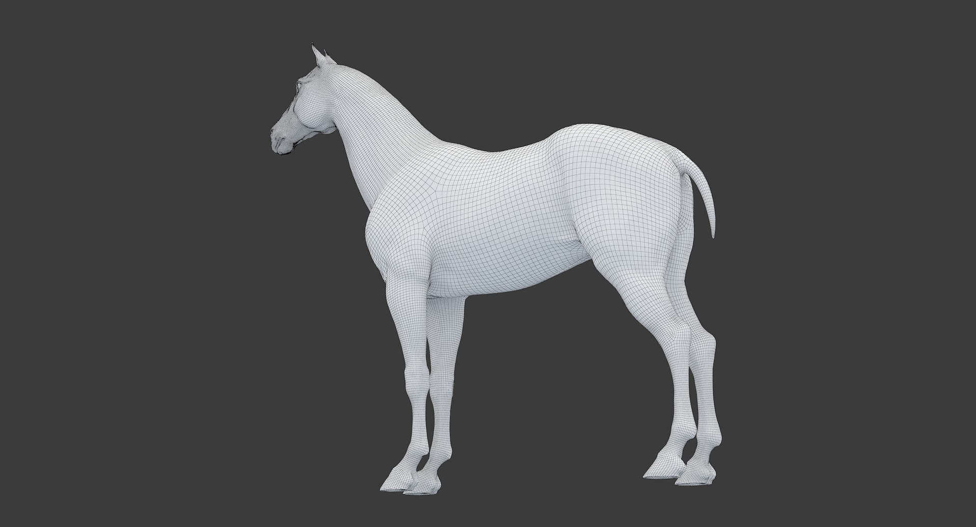 horse middle normal 3D model https://p.turbosquid.com/ts-thumb/Ch/R1KGIc/R4dHOthM/horsemp_edges_27/jpg/1545277692/1920x1080/fit_q87/1f08d63562b081c126eeb2567042a4eed7e2c9f3/horsemp_edges_27.jpg