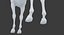 Horse Middle Poly (Normal Map Only)