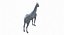 Horse Middle Poly (Normal Map Only)