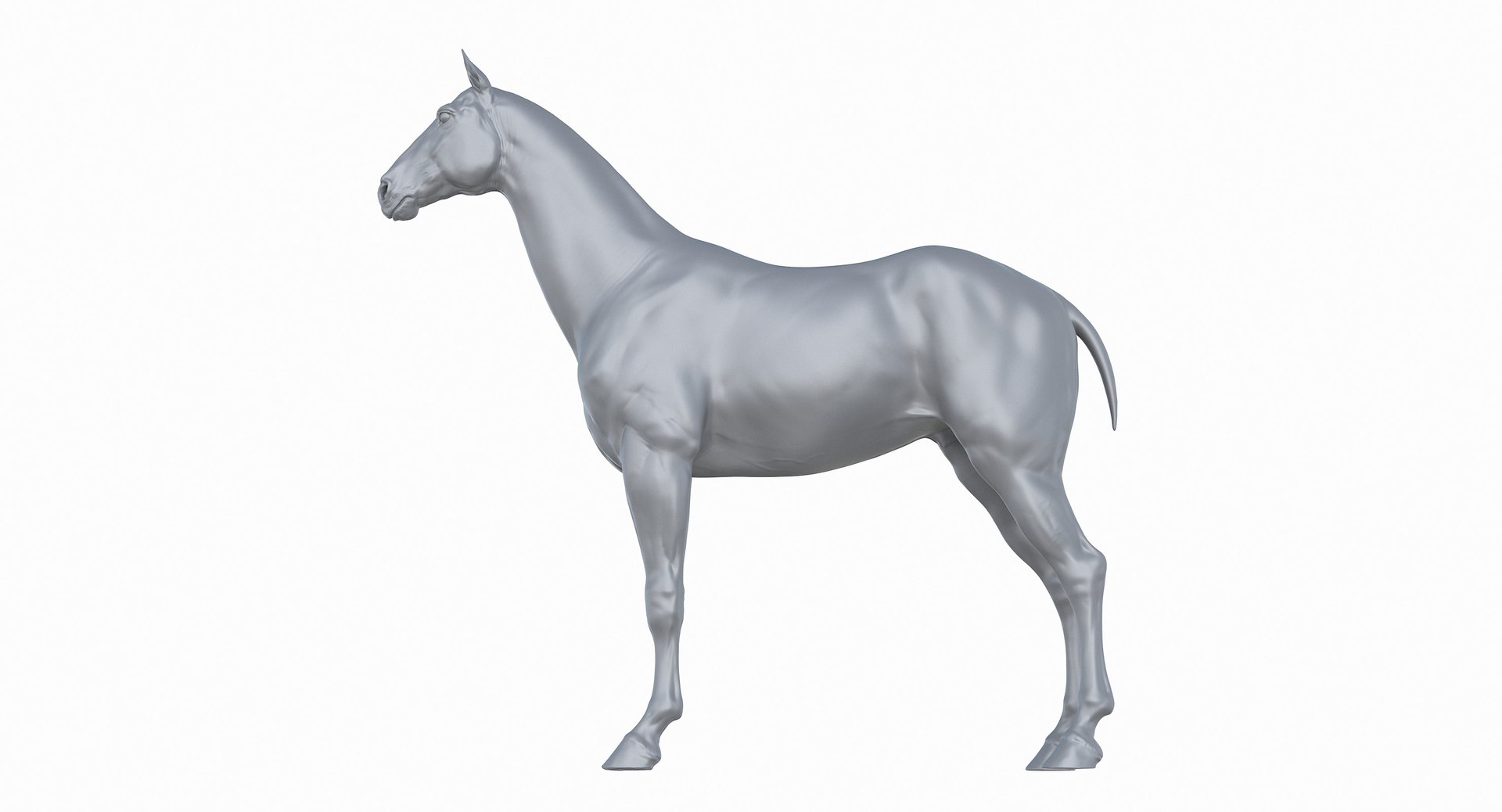 horse middle normal 3D model https://p.turbosquid.com/ts-thumb/Ch/R1KGIc/Wr1m5z9T/horsemp_26/jpg/1545277690/1920x1080/fit_q87/cd5c84bf8f24ee3dad2e6c1d733004524bdb2434/horsemp_26.jpg