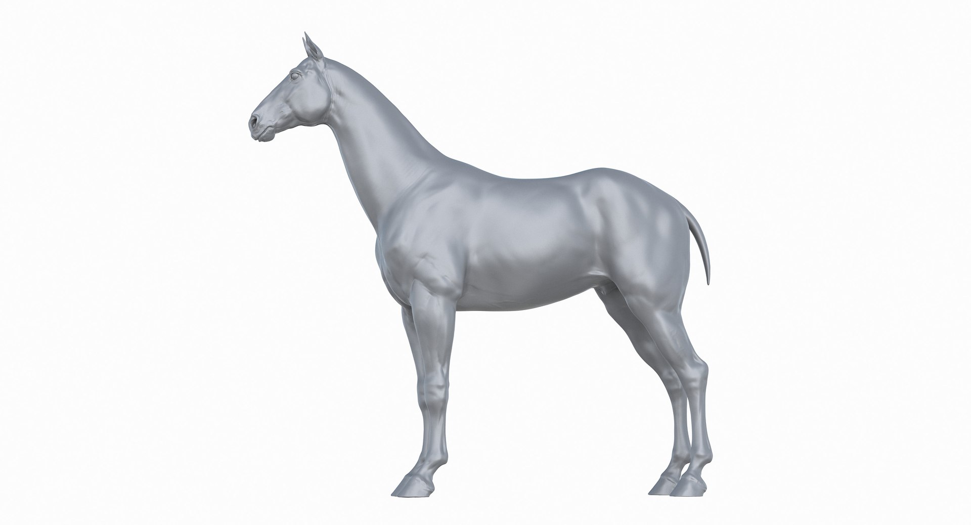 horse middle normal 3D model https://p.turbosquid.com/ts-thumb/Ch/R1KGIc/aPN04Hxc/horsemp_25/jpg/1545277690/1920x1080/fit_q87/bc52ac82ca51401b67e33e555517b7aeaab5f728/horsemp_25.jpg
