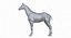 Horse Middle Poly (Normal Map Only)
