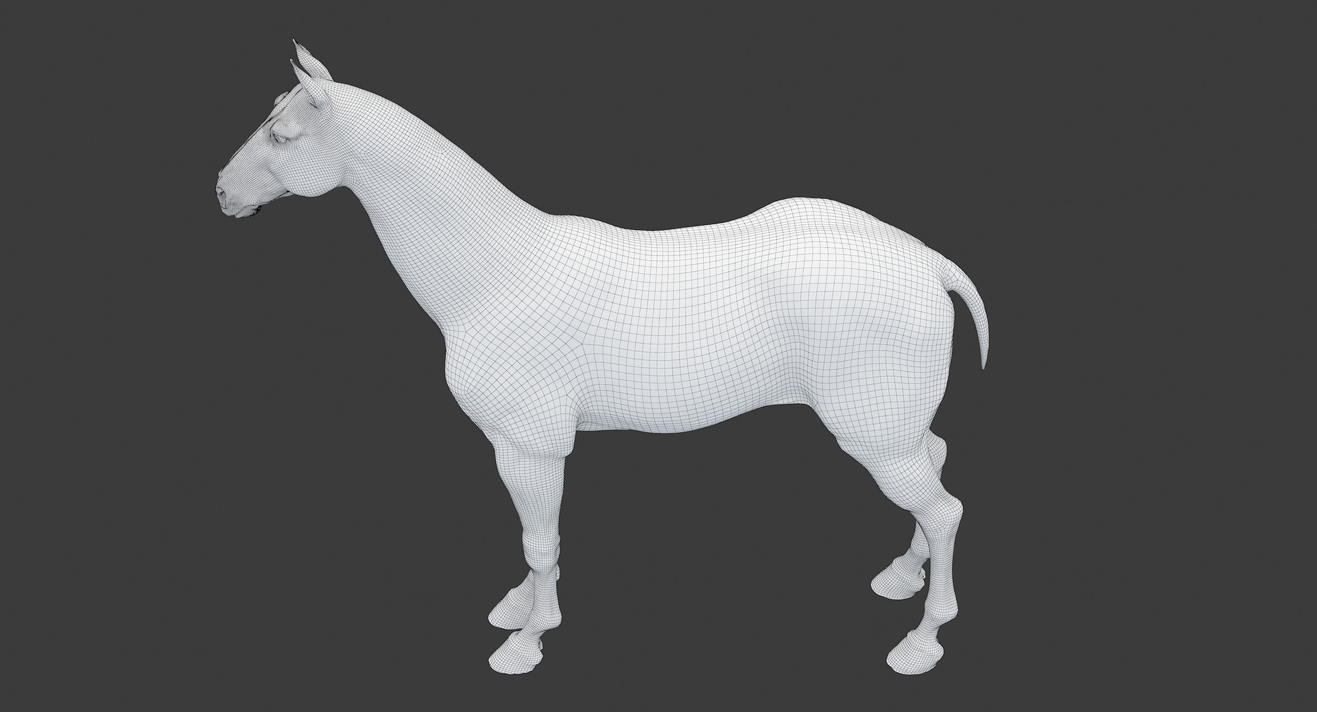 horse middle normal 3D model https://p.turbosquid.com/ts-thumb/Ch/R1KGIc/b6ae8CNP/horsemp_edges_04/jpg/1545277691/1920x1080/fit_q87/e8da4cc90f6bc365a158ad6ea7dd7f50a7a7a4b7/horsemp_edges_04.jpg