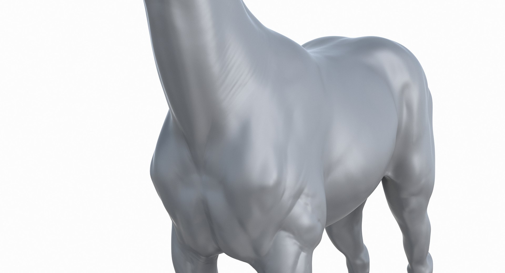 horse middle normal 3D model https://p.turbosquid.com/ts-thumb/Ch/R1KGIc/e46fzz9j/horsemp_37/jpg/1545277691/1920x1080/fit_q87/6132ab7c4eef4d8f8e3fdbf058908feb71944b1c/horsemp_37.jpg