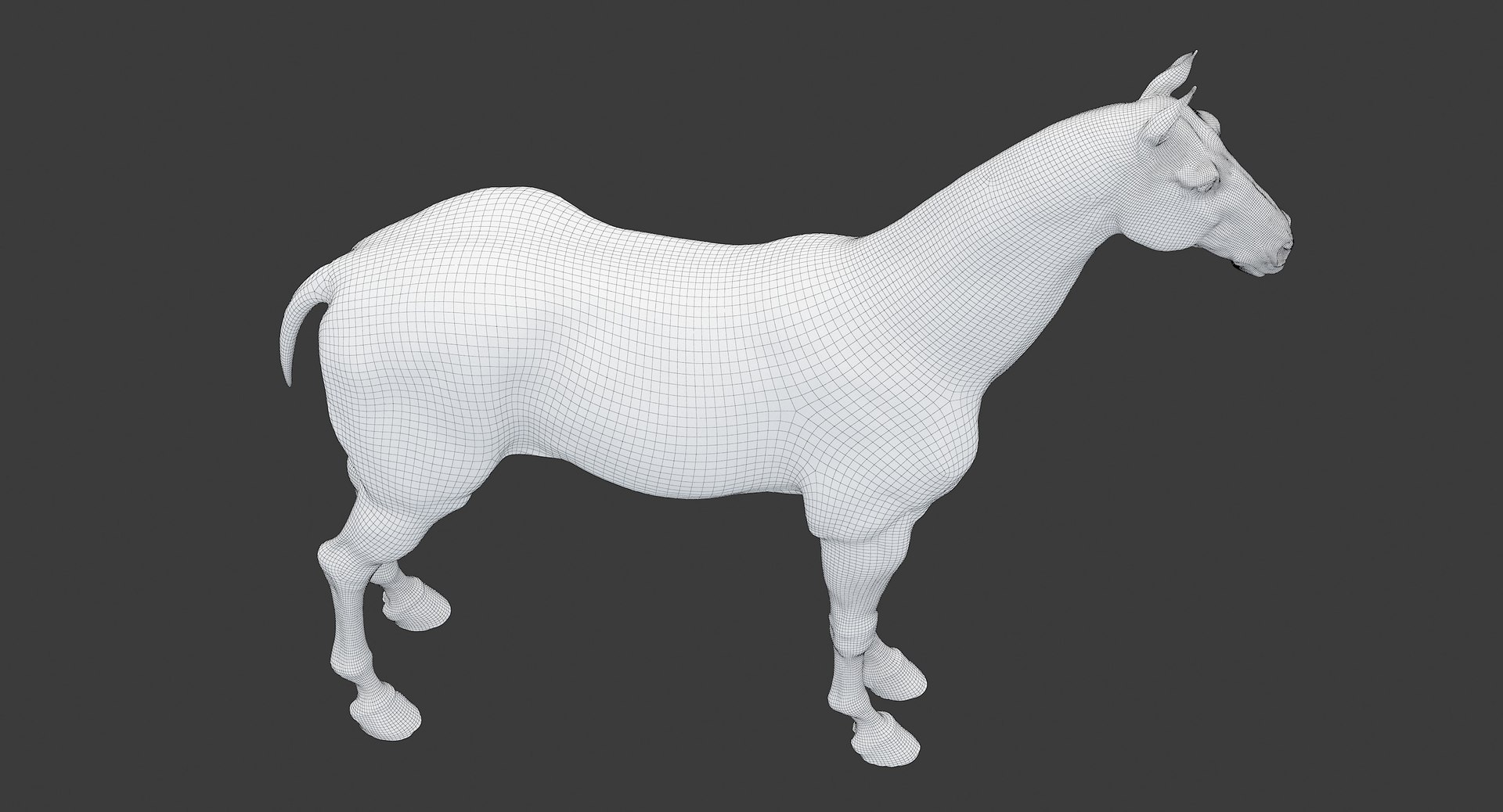 horse middle normal 3D model https://p.turbosquid.com/ts-thumb/Ch/R1KGIc/fMrt3eTE/horsemp_edges_16/jpg/1545277691/1920x1080/fit_q87/a30b12c6ae8476a9d0d087d6d82db587403f3c82/horsemp_edges_16.jpg