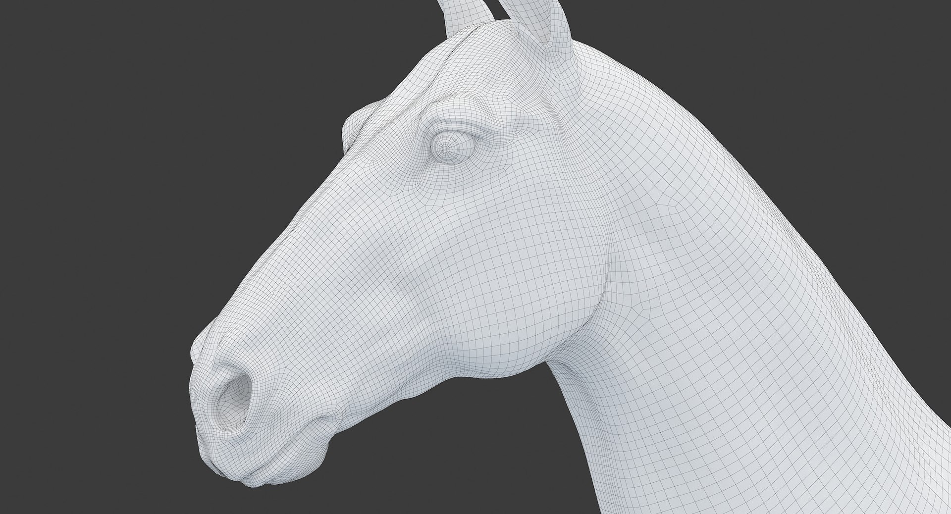 horse middle normal 3D model https://p.turbosquid.com/ts-thumb/Ch/R1KGIc/gHHBcANn/horsemp_edges_42/jpg/1545277692/1920x1080/fit_q87/e8622326fc73f972ef7293f1728c1d54057f2eaa/horsemp_edges_42.jpg