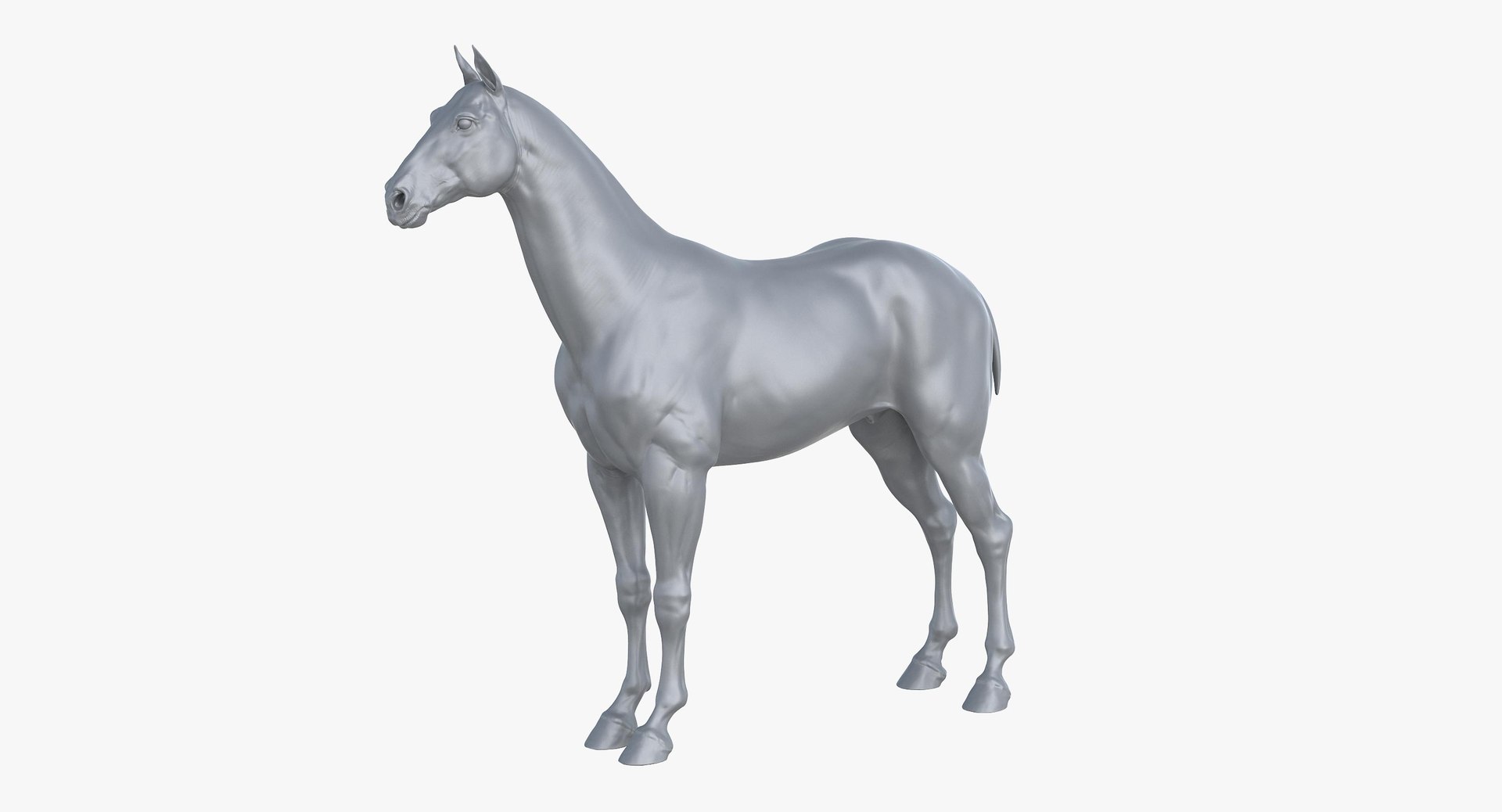 horse middle normal 3D model https://p.turbosquid.com/ts-thumb/Ch/R1KGIc/hx3Cxt1H/horsemp_01a/jpg/1545277689/1920x1080/fit_q87/338c7712c46a6f65f2fa33b997396b1966382fe5/horsemp_01a.jpg