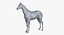 Horse Middle Poly (Normal Map Only)