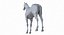 Horse Middle Poly (Normal Map Only)