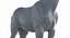 Horse Middle Poly (Normal Map Only)