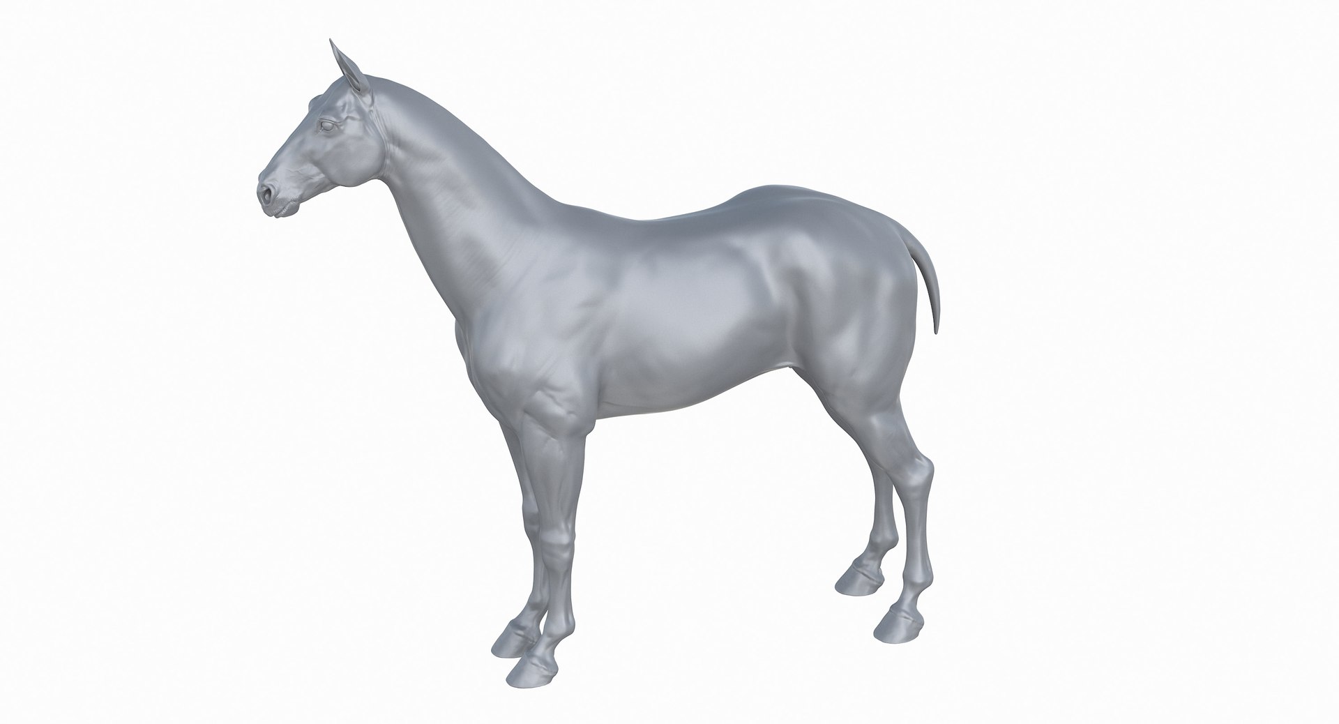 horse middle normal 3D model https://p.turbosquid.com/ts-thumb/Ch/R1KGIc/mGHaYoh0/horsemp_03/jpg/1545277690/1920x1080/fit_q87/e2aadf8ab9e51baa439695c6dbde36f62a3aecf1/horsemp_03.jpg