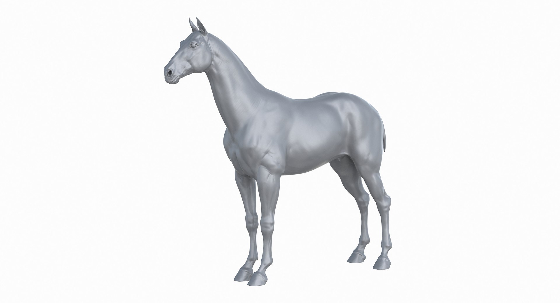 horse middle normal 3D model https://p.turbosquid.com/ts-thumb/Ch/R1KGIc/o7LM3DKB/horsemp_23/jpg/1545277690/1920x1080/fit_q87/dfd99d36620b980207e3474b220231eba2143832/horsemp_23.jpg
