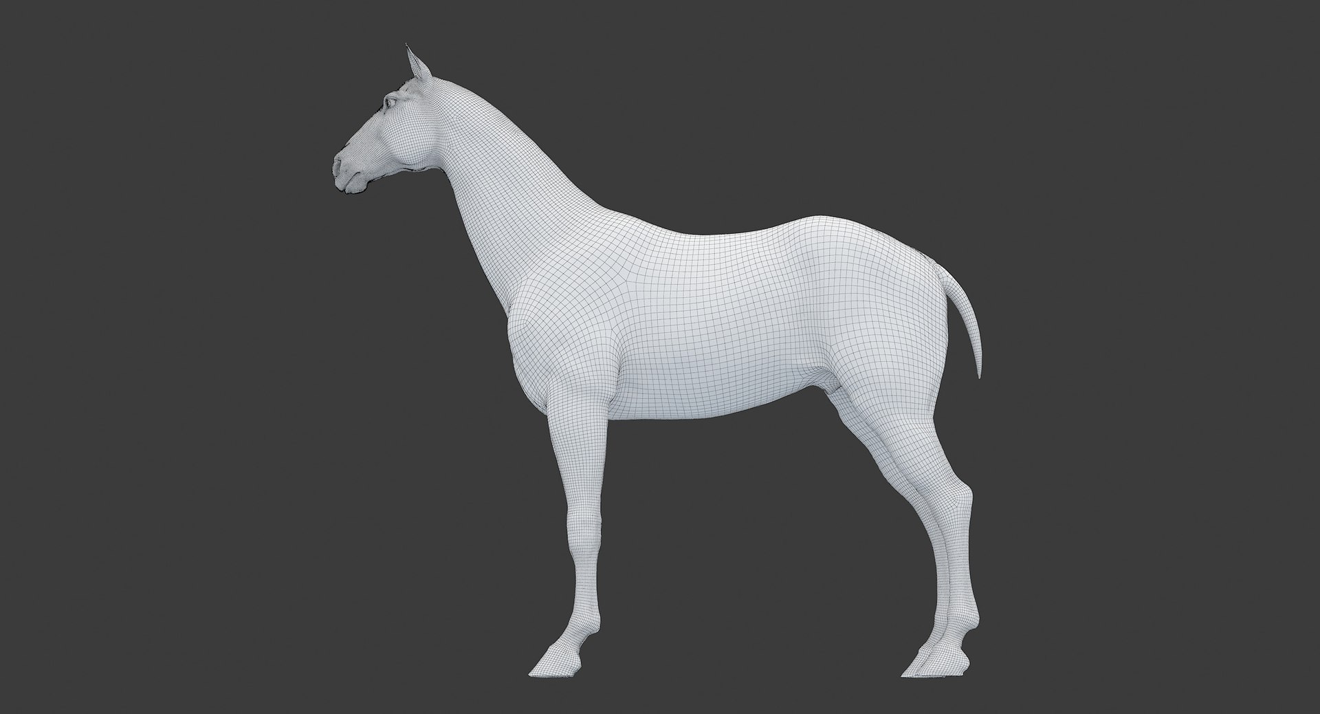 horse middle normal 3D model https://p.turbosquid.com/ts-thumb/Ch/R1KGIc/oZP1HeOz/horsemp_edges_26/jpg/1545277692/1920x1080/fit_q87/2945c83d7d3087958ec9588ad655df24f2c6d8e4/horsemp_edges_26.jpg