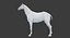 Horse Middle Poly (Normal Map Only)