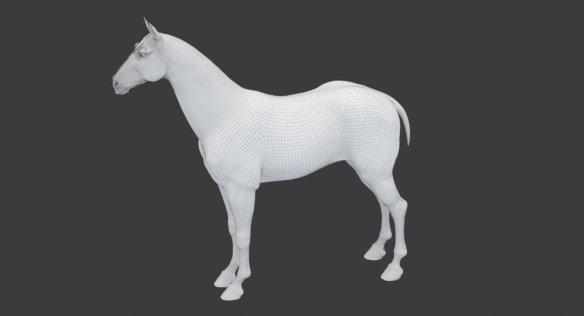 horse middle normal 3D model https://p.turbosquid.com/ts-thumb/Ch/R1KGIc/sCOFWzsQ/horsemp_edges_03/jpg/1545277691/1920x1080/fit_q87/a423be57d3aa2f4ebb4ce9cdaa8a9070b859cc47/horsemp_edges_03.jpg