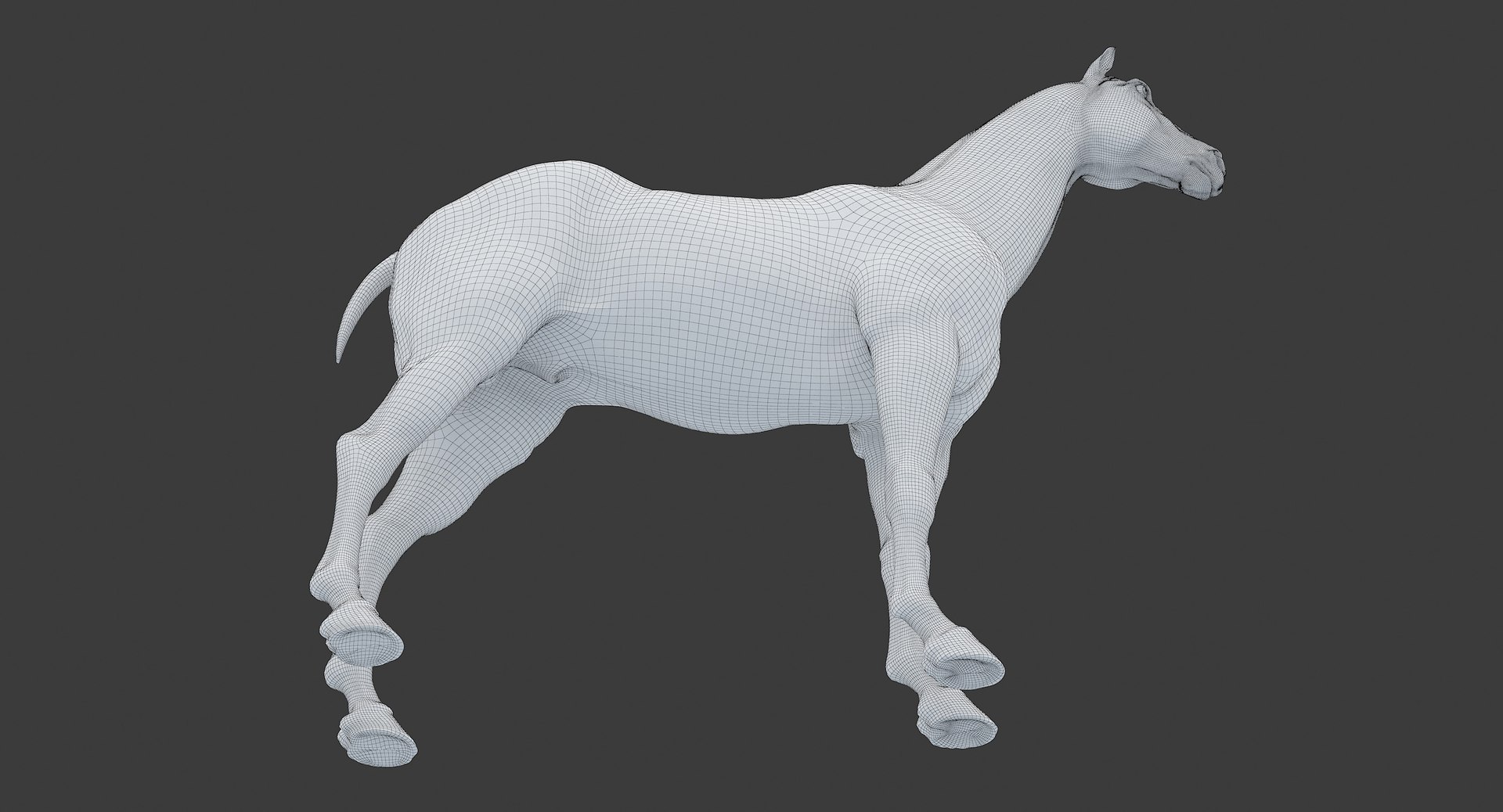 horse middle normal 3D model https://p.turbosquid.com/ts-thumb/Ch/R1KGIc/thJK1p79/horsemp_edges_31/jpg/1545277692/1920x1080/fit_q87/41d435167358d84fb842119b7470cf74748d6cf9/horsemp_edges_31.jpg