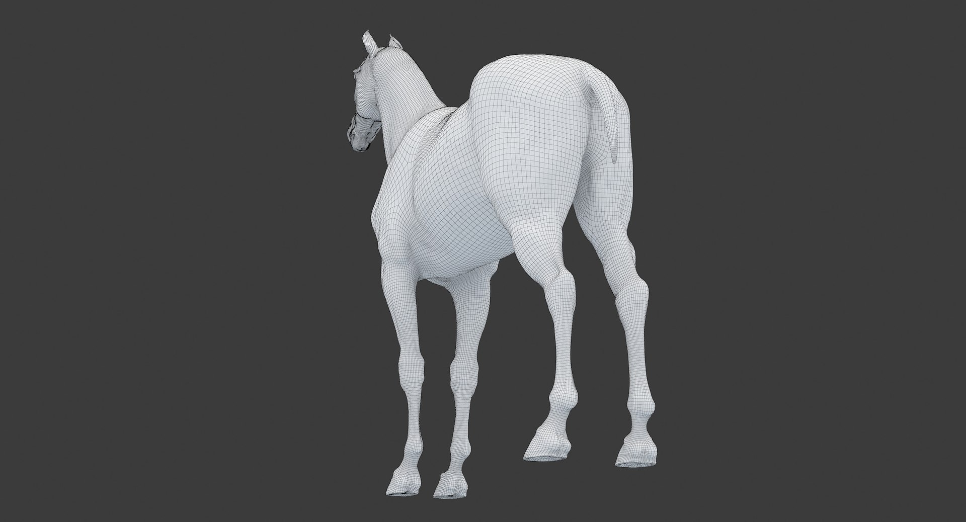 horse middle normal 3D model https://p.turbosquid.com/ts-thumb/Ch/R1KGIc/v46jg9UQ/horsemp_edges_28/jpg/1545277692/1920x1080/fit_q87/ef76740d82e3c20f2dd23f2acd3a7850b9991e8f/horsemp_edges_28.jpg