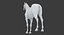 Horse Middle Poly (Normal Map Only)