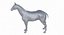 Horse Middle Poly (Normal Map Only)