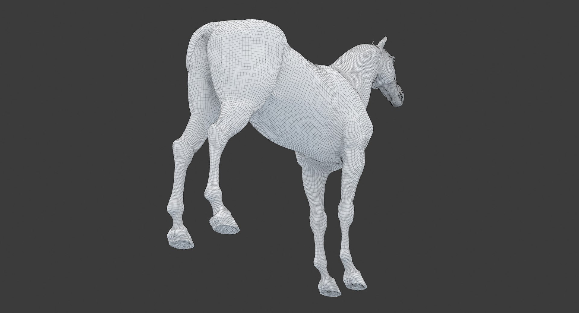 horse middle normal 3D model https://p.turbosquid.com/ts-thumb/Ch/R1KGIc/zIDGmcmd/horsemp_edges_30/jpg/1545277692/1920x1080/fit_q87/d1ee8383d0b01a09b28bd7c086fdeb0a0bd8ed3e/horsemp_edges_30.jpg