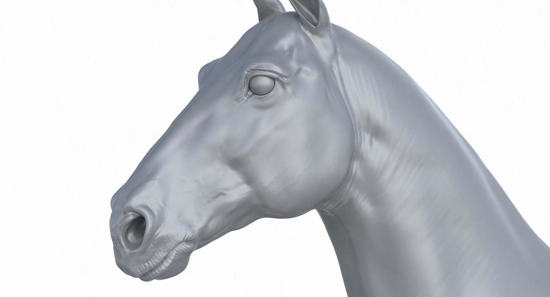 horse middle normal 3D model https://p.turbosquid.com/ts-thumb/Ch/R1KGIc/zy4JH7pM/horsemp_42/jpg/1545277691/1920x1080/fit_q87/680c5c58bddd283ac17369a1bca30c8451224406/horsemp_42.jpg