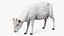 Animali da fattoria Grande collezione 5