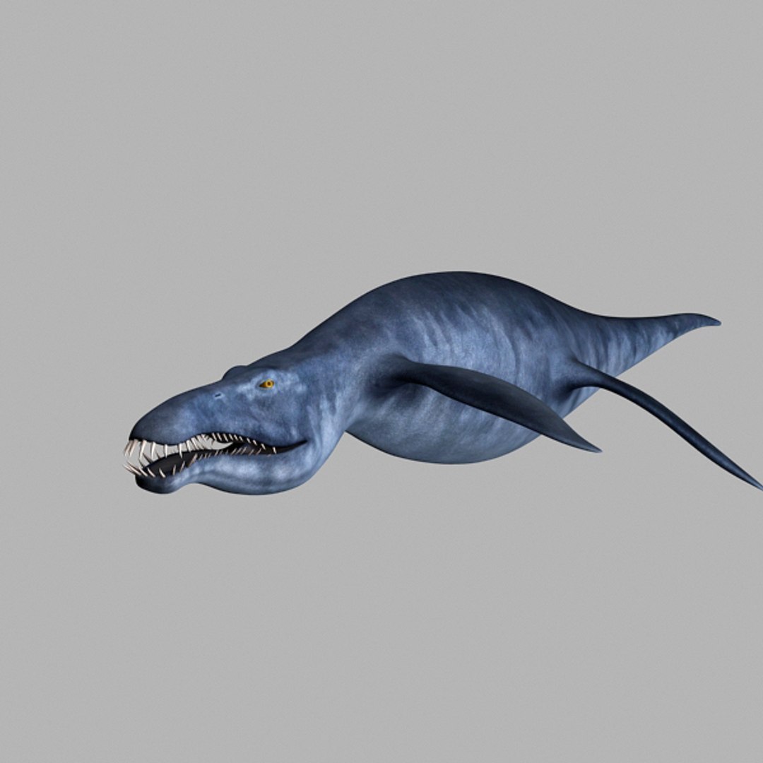 Liopleurodon 3d Model