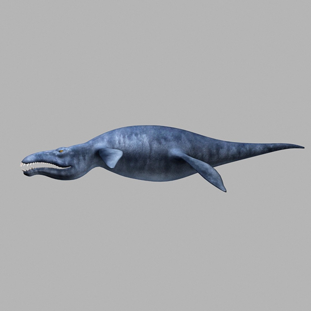 Liopleurodon 3d Model