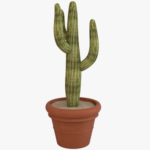 3d model decorative pot plant