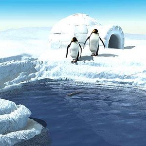 maya environment penguins igloo arctic