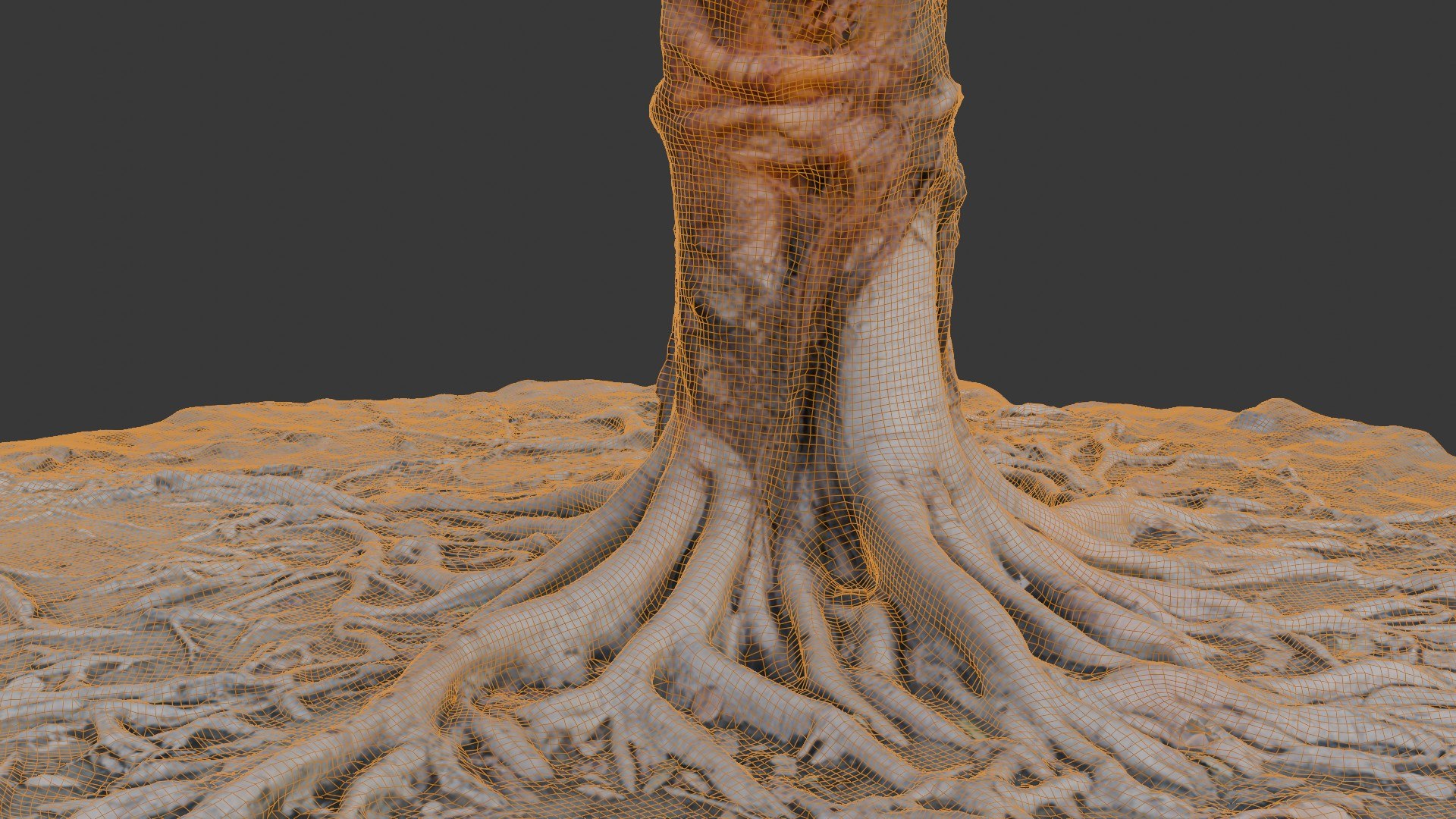 Tree Stumps With Extended Root 3D Model - TurboSquid 2395532