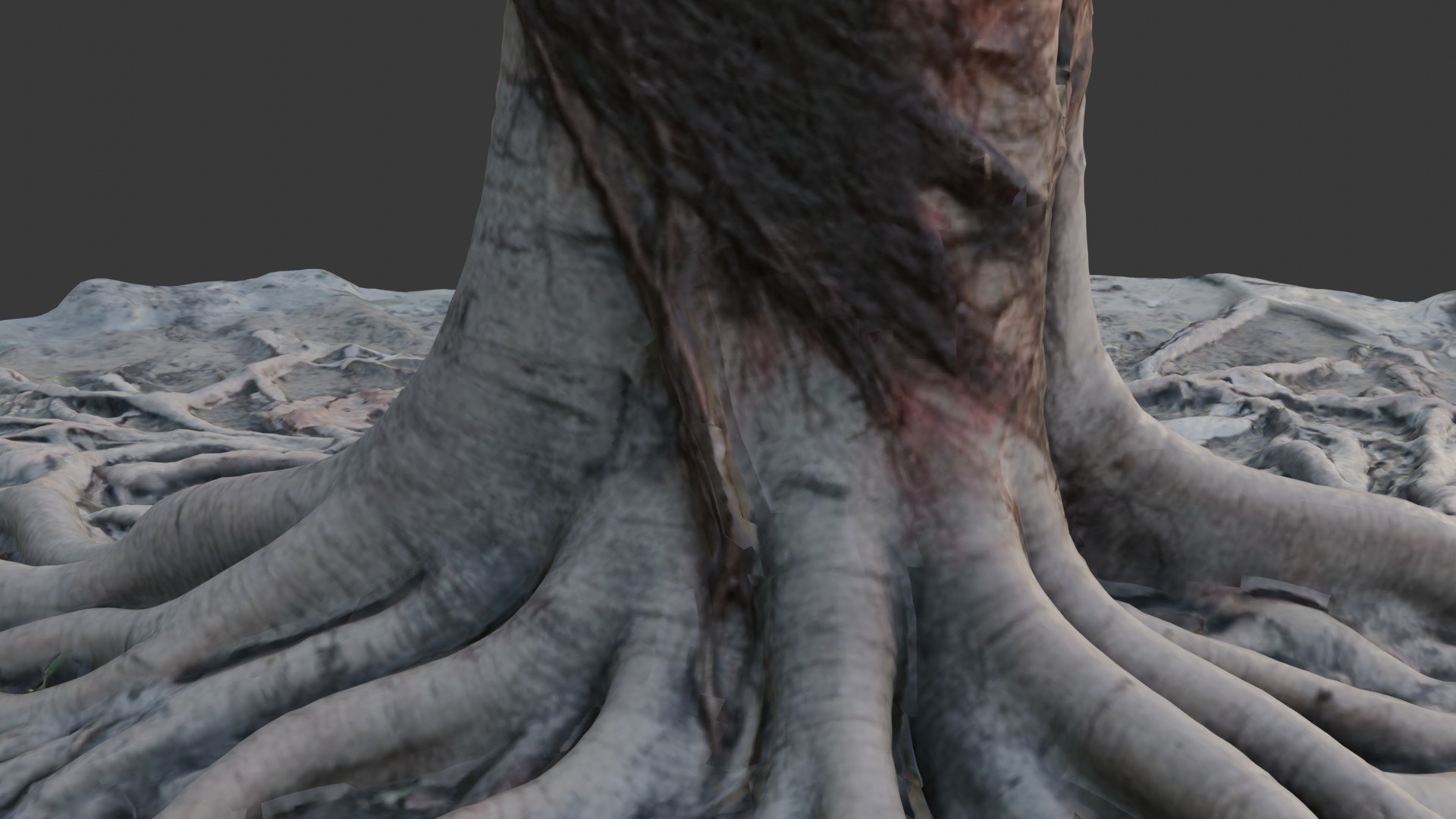 Tree Stumps With Extended Root 3D Model - TurboSquid 2395532