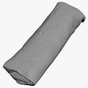 3D Burrito 3D Print
