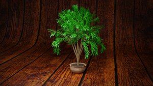 tree 3D model