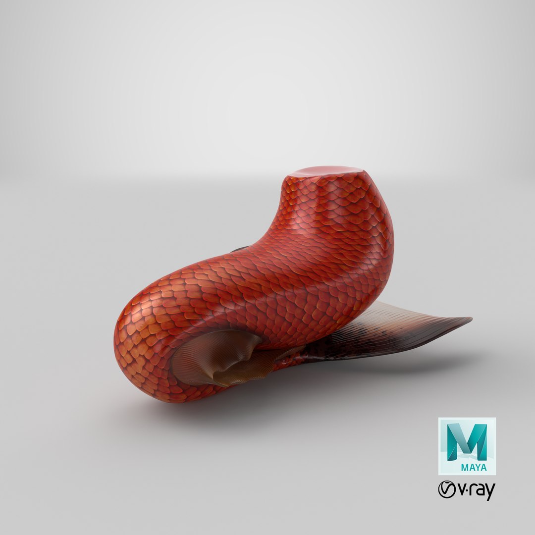 mermaid tail 01 sitting 3D model https://p.turbosquid.com/ts-thumb/Ci/KpcGZe/OgamfpXT/stemcell_maya_vray_render/png/1549567009/1920x1080/fit_q87/3eaeee92788b17a09985622d18013f5bbcb9a471/stemcell_maya_vray_render.jpg