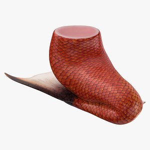 Mermaid Tail 01 Sitting