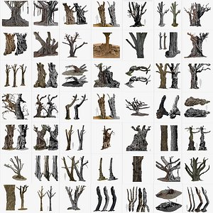 50  High Resolution Tree 3D Scans in One Bundle