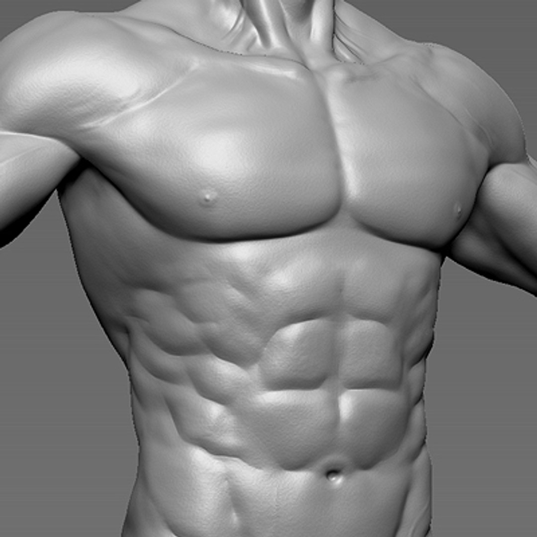 male heroic character hero 3d model https://p.turbosquid.com/ts-thumb/Ci/V7fFpa/0HGBmtcL/ts_pic400x400_23/jpg/1275399463/1920x1080/fit_q87/3146fe3a6804f3f2760415aac7b4b33cc65642fe/ts_pic400x400_23.jpg