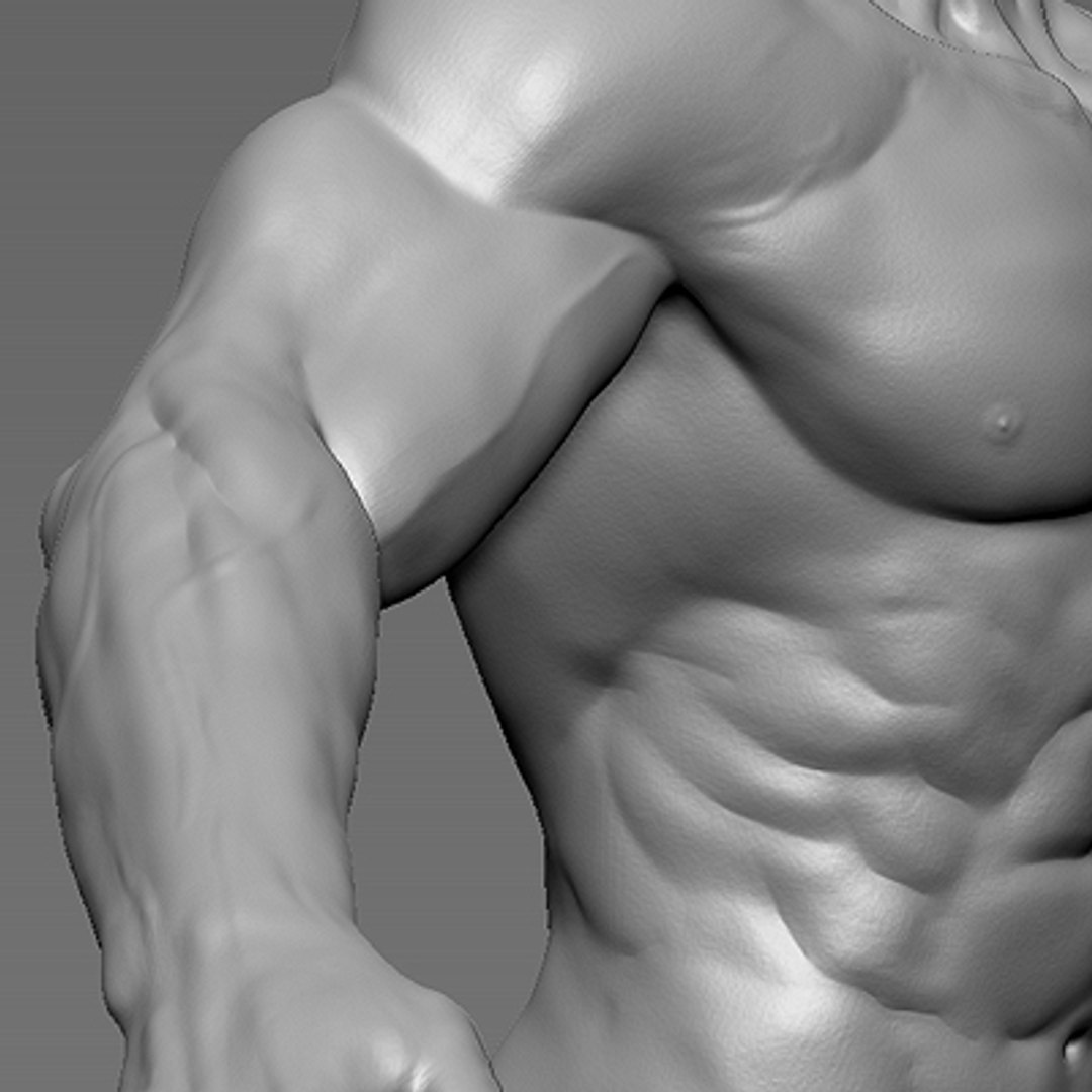 male heroic character hero 3d model https://p.turbosquid.com/ts-thumb/Ci/V7fFpa/F6gbwtOq/ts_pic400x400_29/jpg/1275399463/1920x1080/fit_q87/80db1062e9413e6577d7bb1e575edd8ccc25adf0/ts_pic400x400_29.jpg