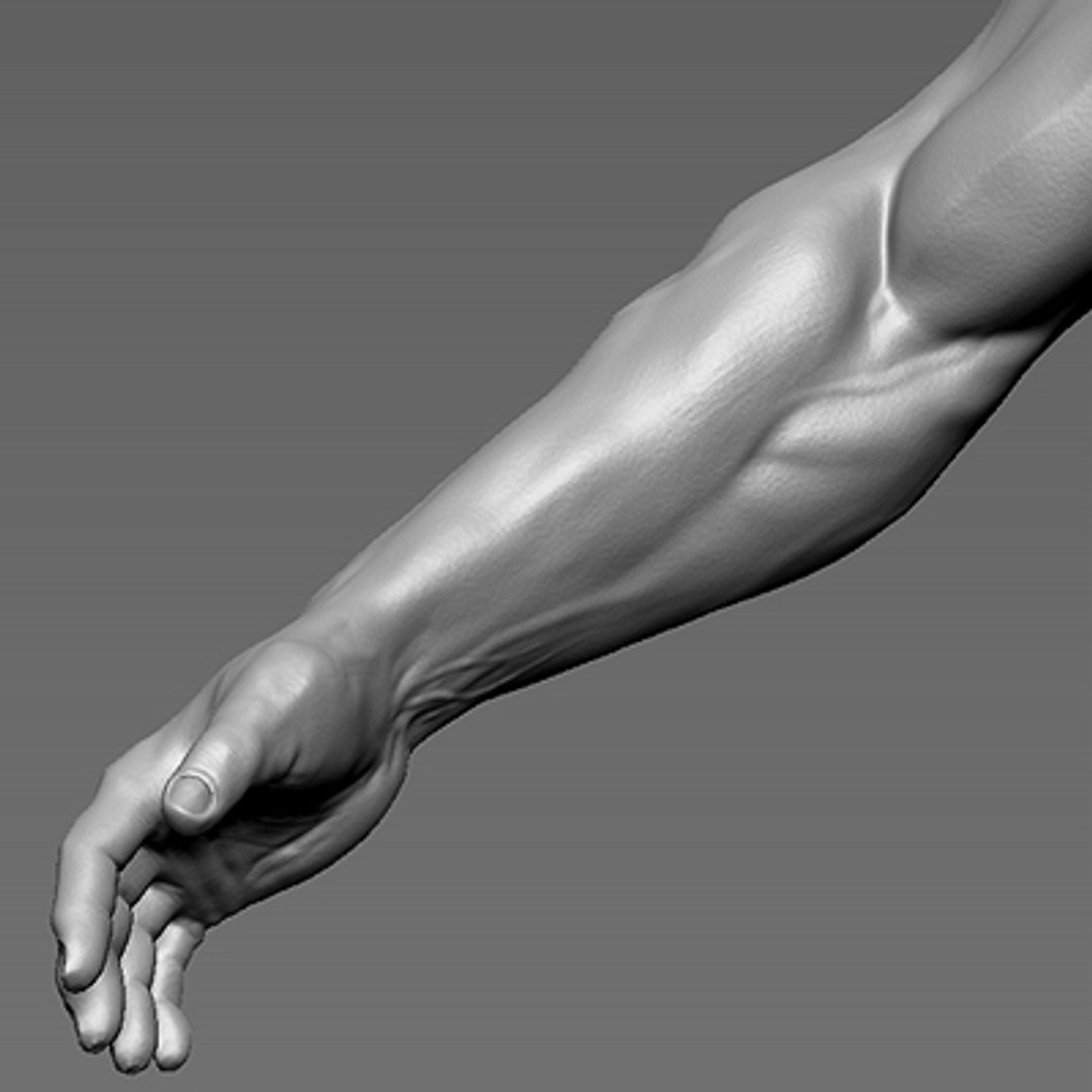 male heroic character hero 3d model https://p.turbosquid.com/ts-thumb/Ci/V7fFpa/iv8wYd9Q/ts_pic400x400_30/jpg/1275399463/1920x1080/fit_q87/fed10d3efc0c16b77969ad88e1f28f85a745360e/ts_pic400x400_30.jpg