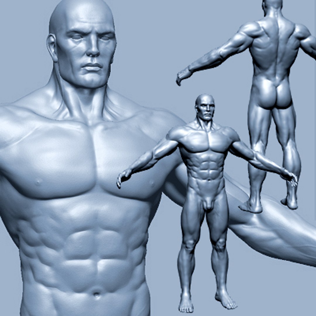 male heroic character hero 3d model https://p.turbosquid.com/ts-thumb/Ci/V7fFpa/kP4JqdFk/ts_pic400x400_24/jpg/1275394110/1920x1080/fit_q87/da010dd3421a89df28d6594a21e339e8c05064ca/ts_pic400x400_24.jpg