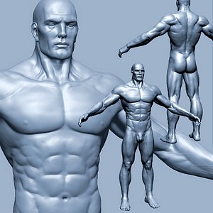 Male heroic character - Zbrush model