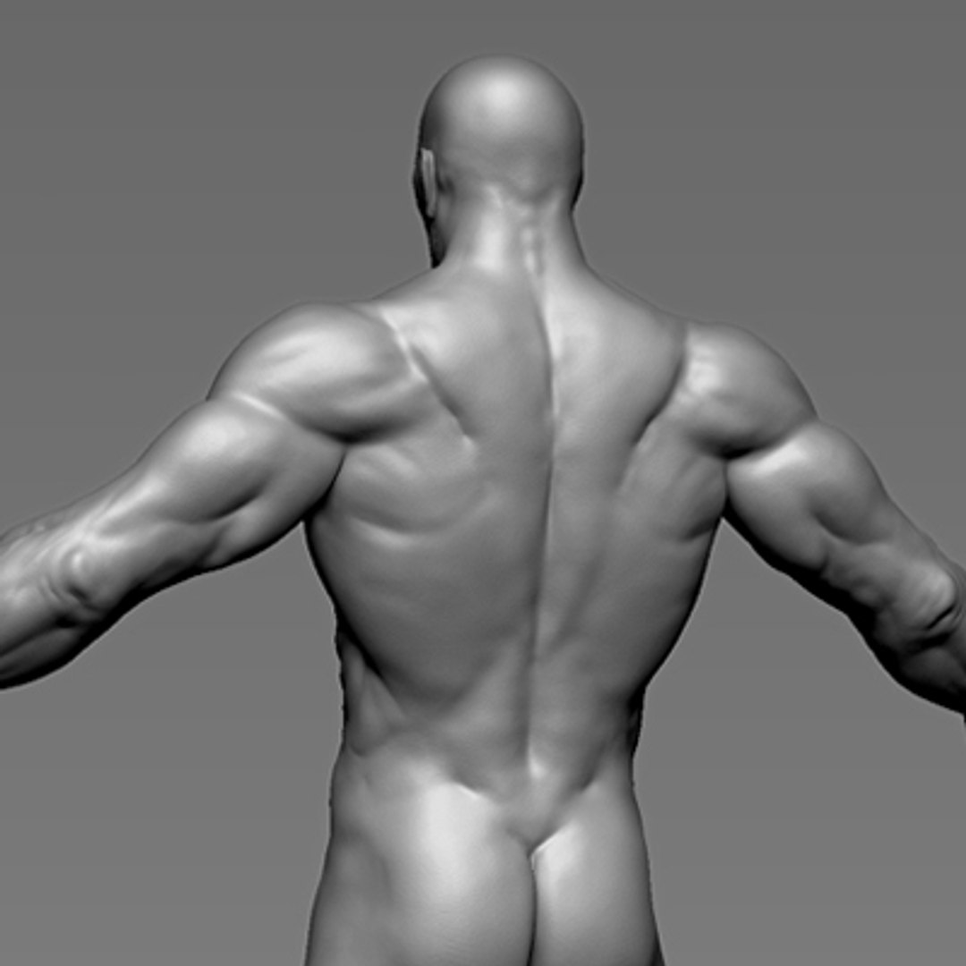 Male Heroic Character Hero 3d Model